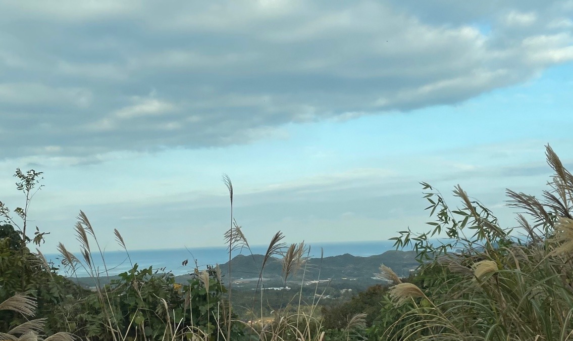 朝の空 8時半