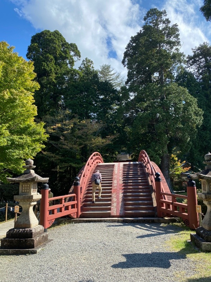 奈良県、和歌山ミステリーツアー④