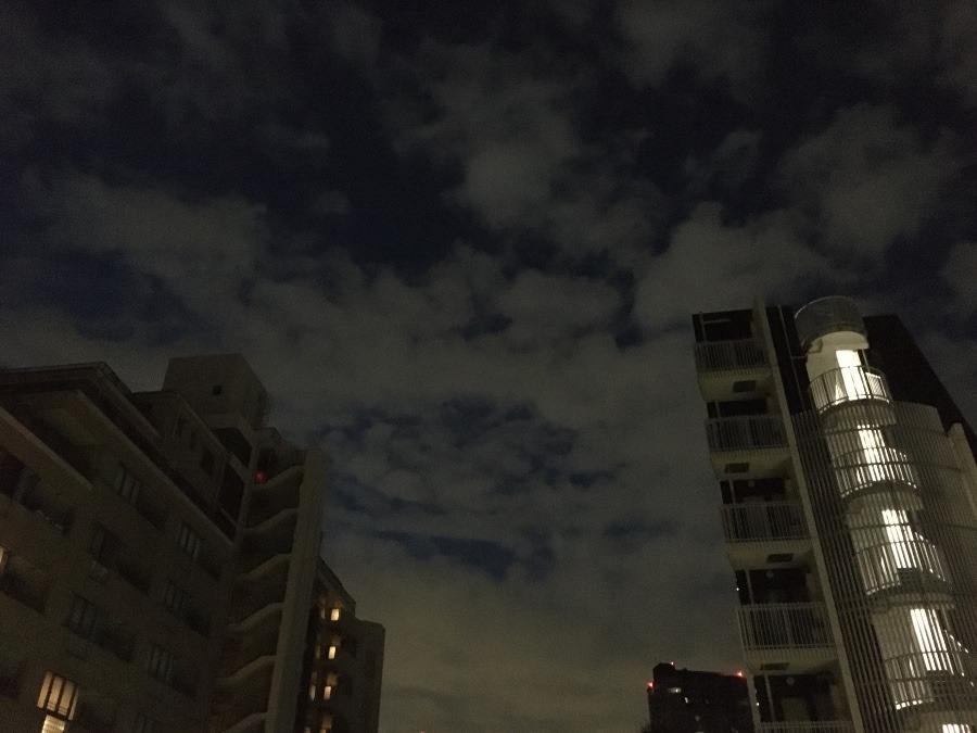 11/14 朝空