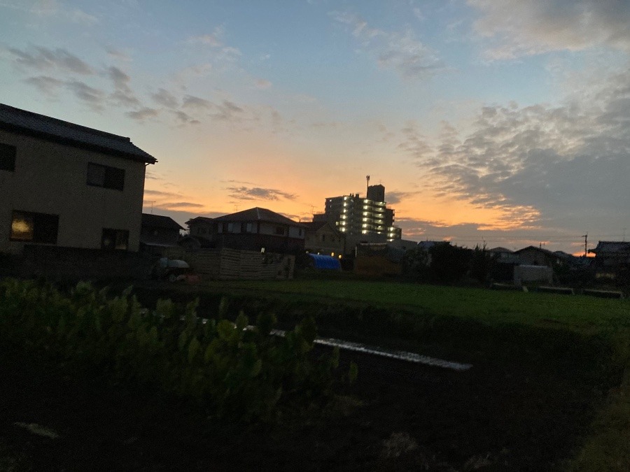 夕焼け