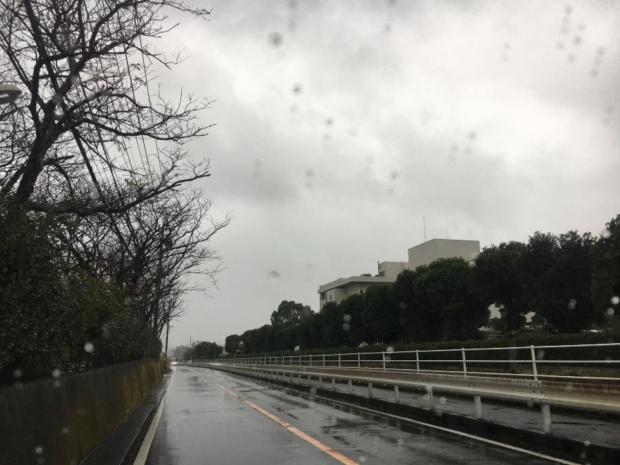 ⭕️空部→   あさ空（≧∇≦）‼️284.