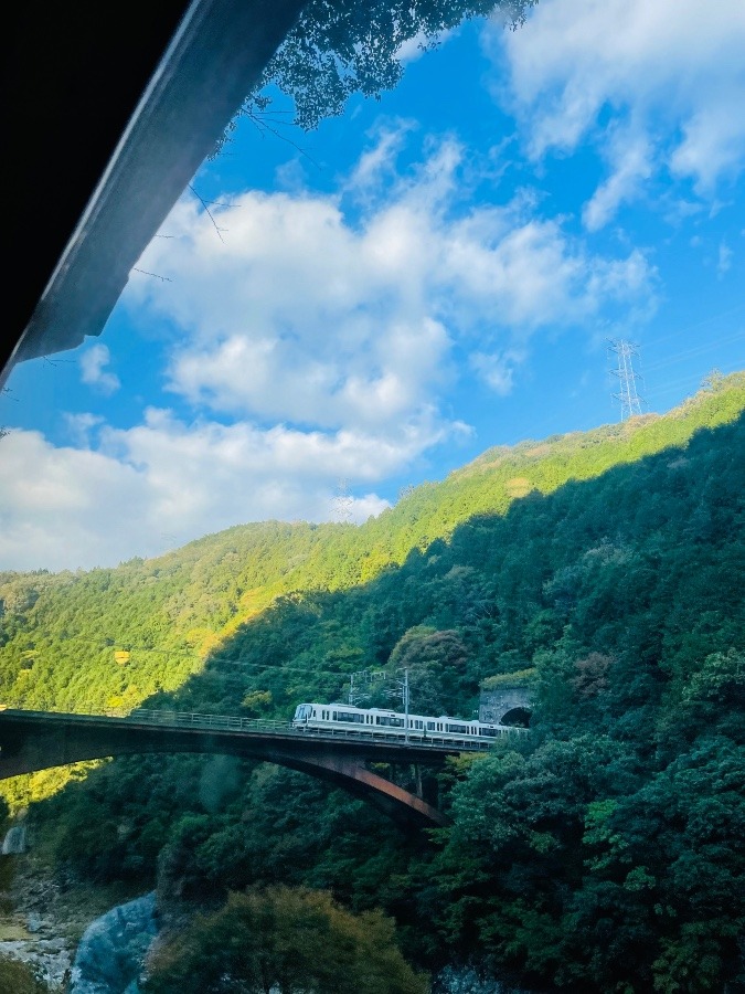 嵯峨野トロッコ列車からの車窓②