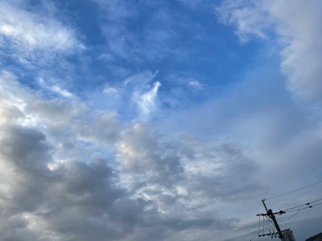 2022/11/20朝の空