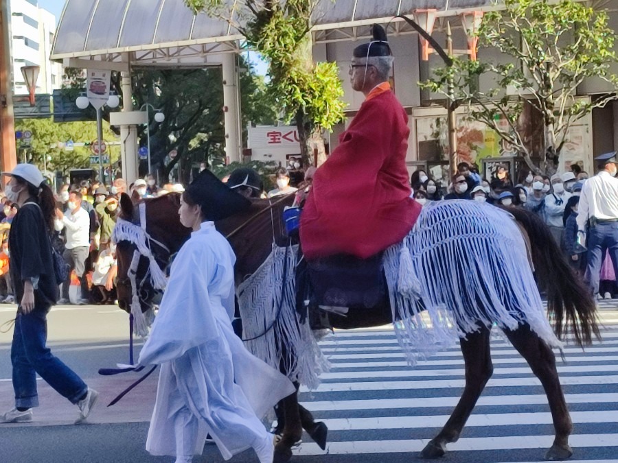 宮崎神宮大祭🐴