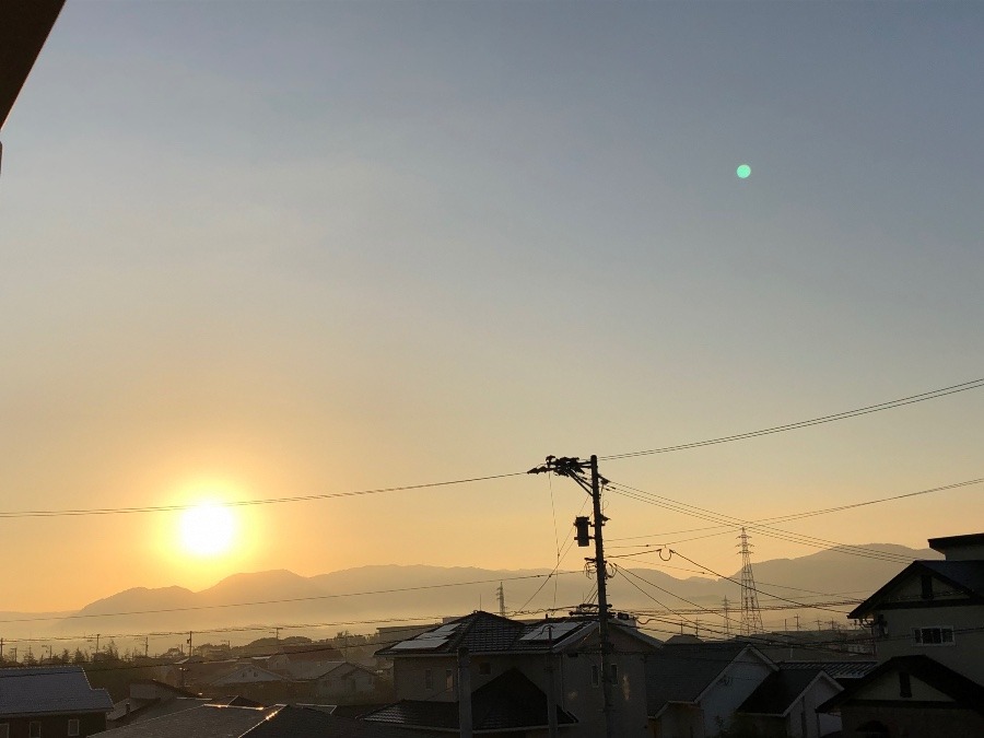 出てきたー