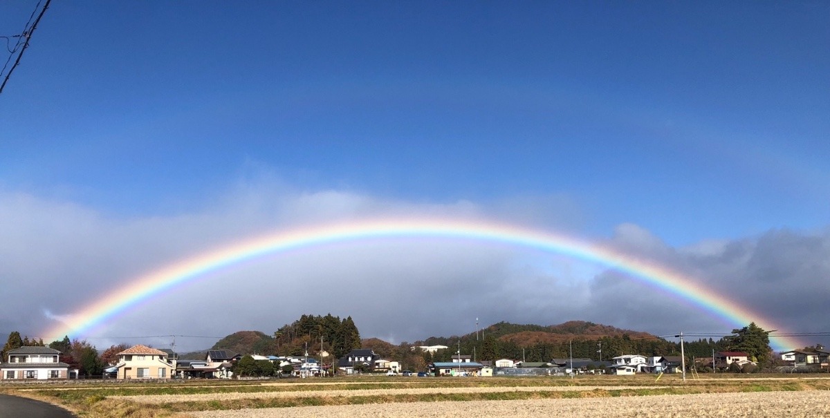 虹に願いを🌈