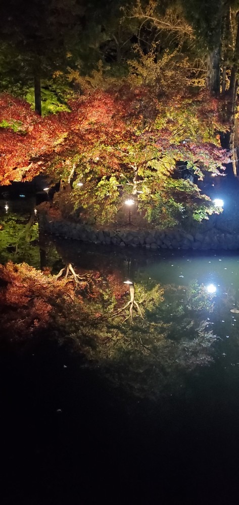 🍁✨薬師池公園　紅葉まつり✨🍁