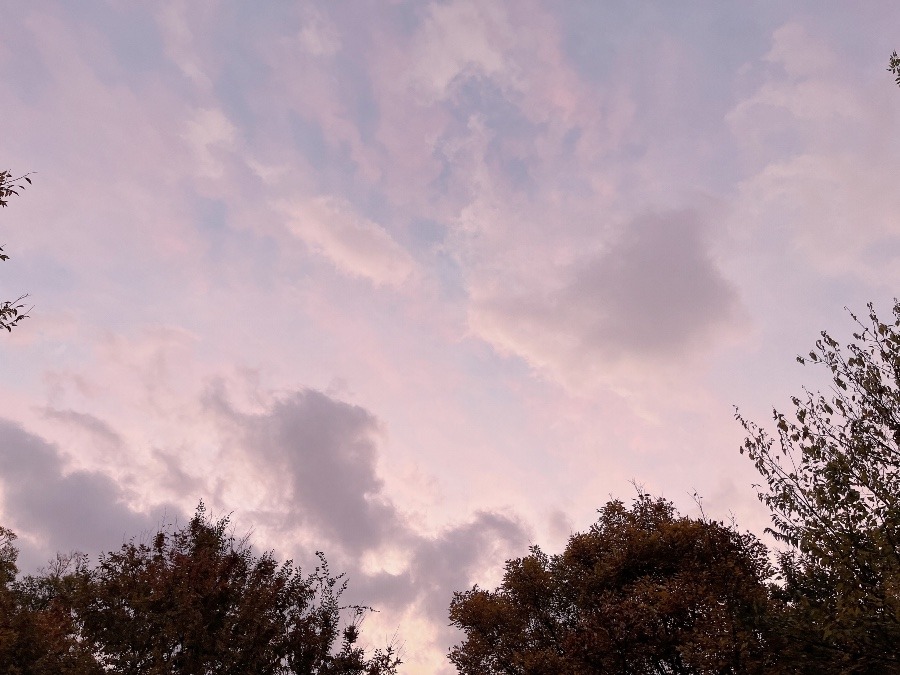 【朝の空】