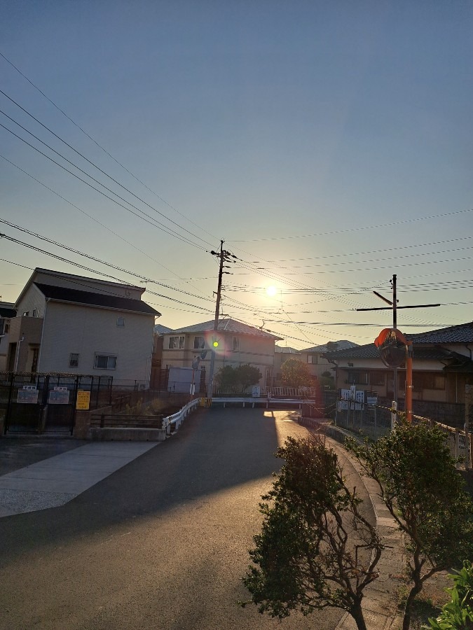 お早うございます
