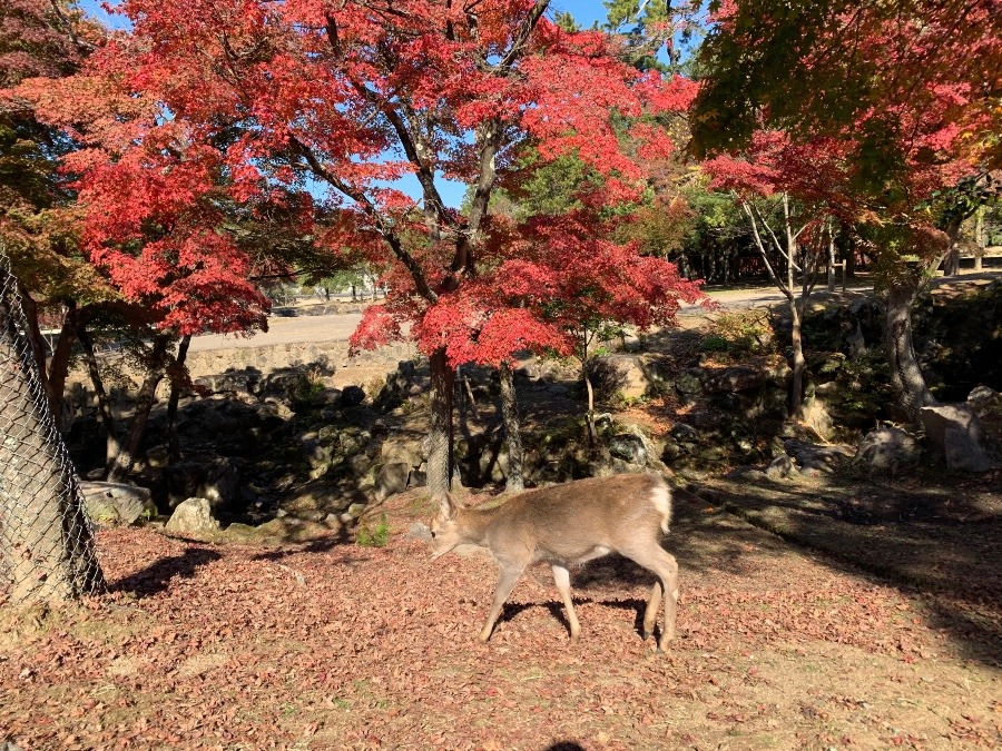 テーマ　「見直し」