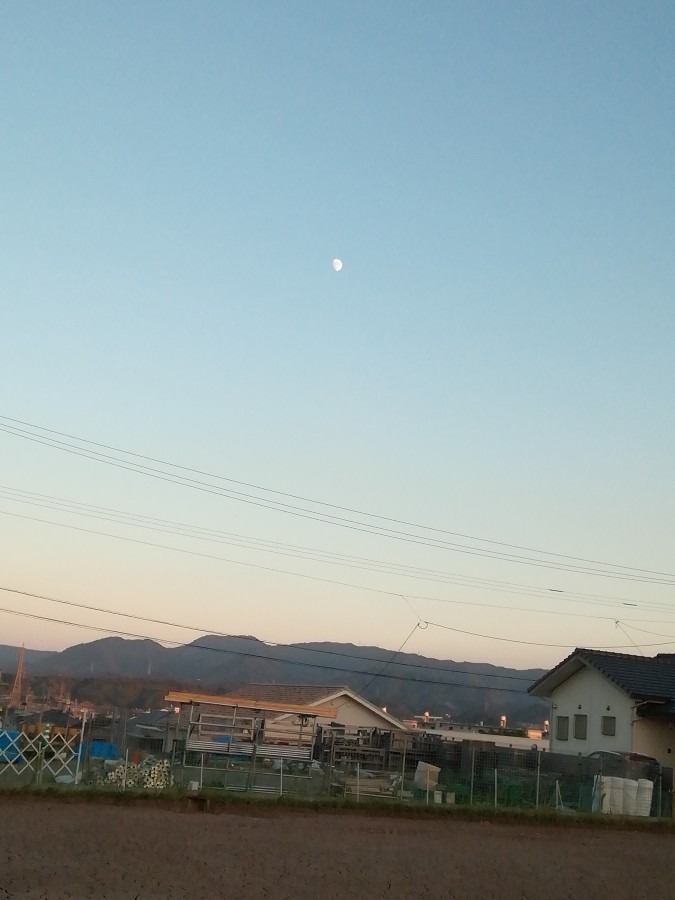 夕方の月