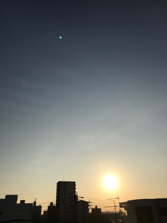 今日もいい天気です☀️✨