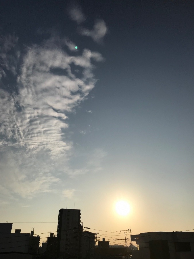 2022年11月11日の朝陽〜☀️✨