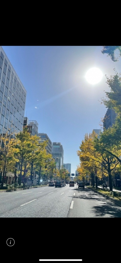 🌲🍃綺麗な風景🍁🍂①