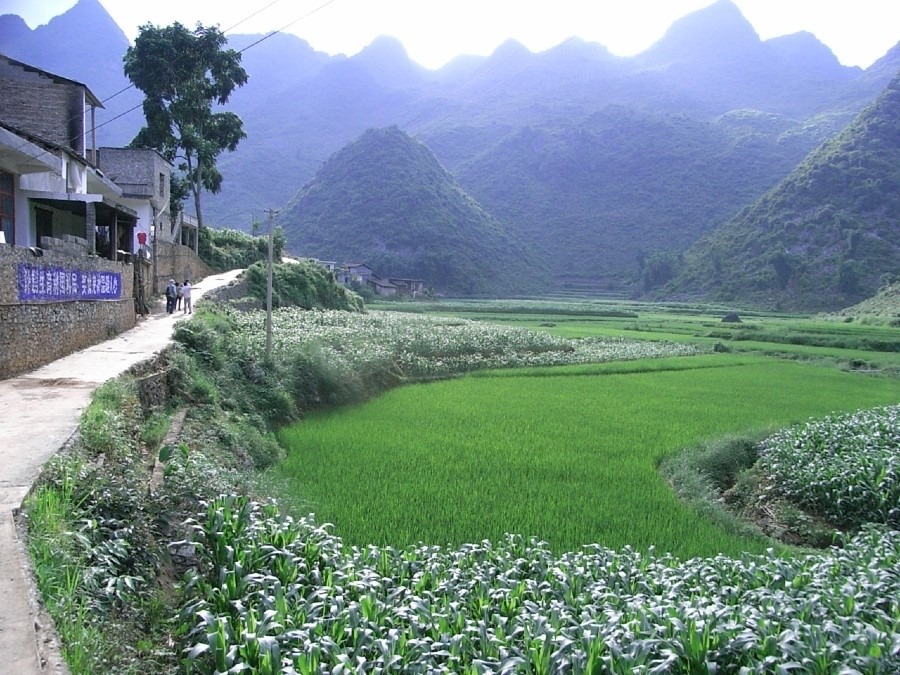 羅平農村（雲南省、中国）
