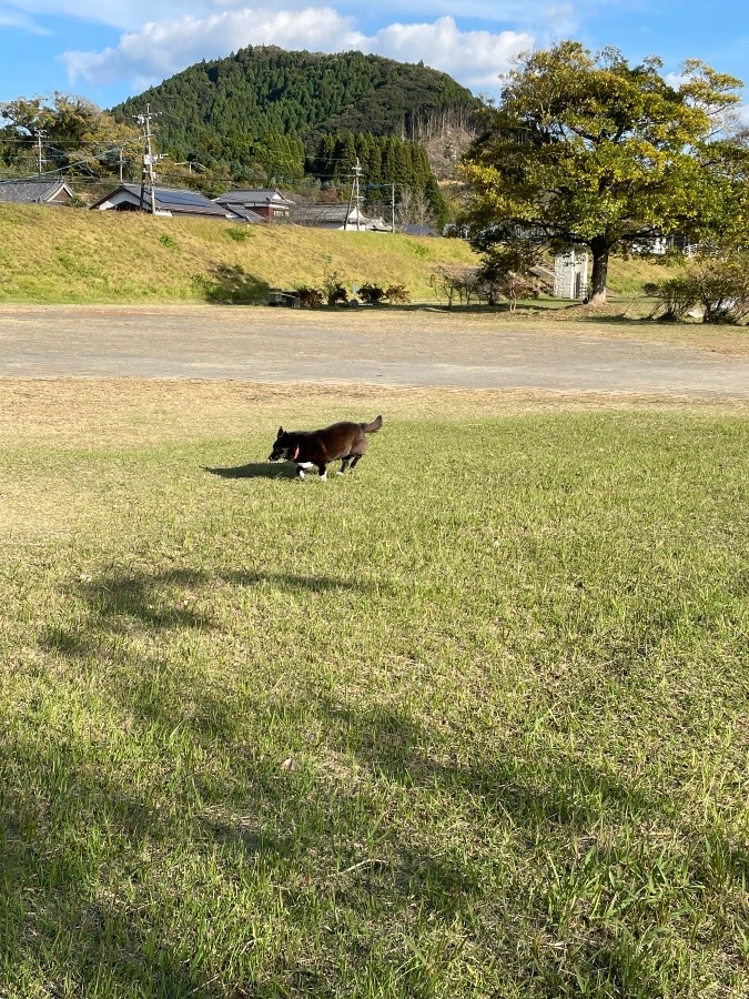 思いっきり👍