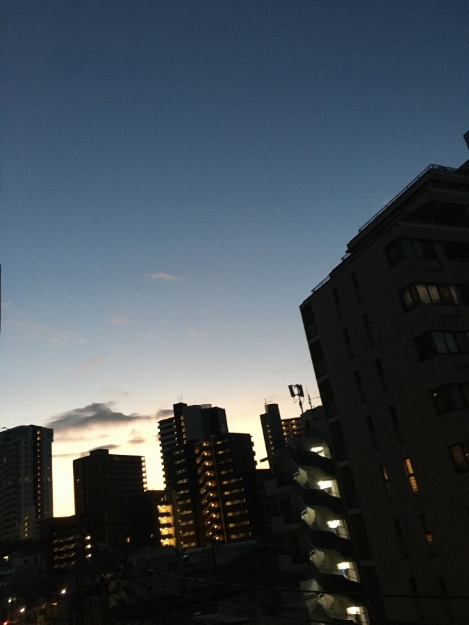 11/6 朝空