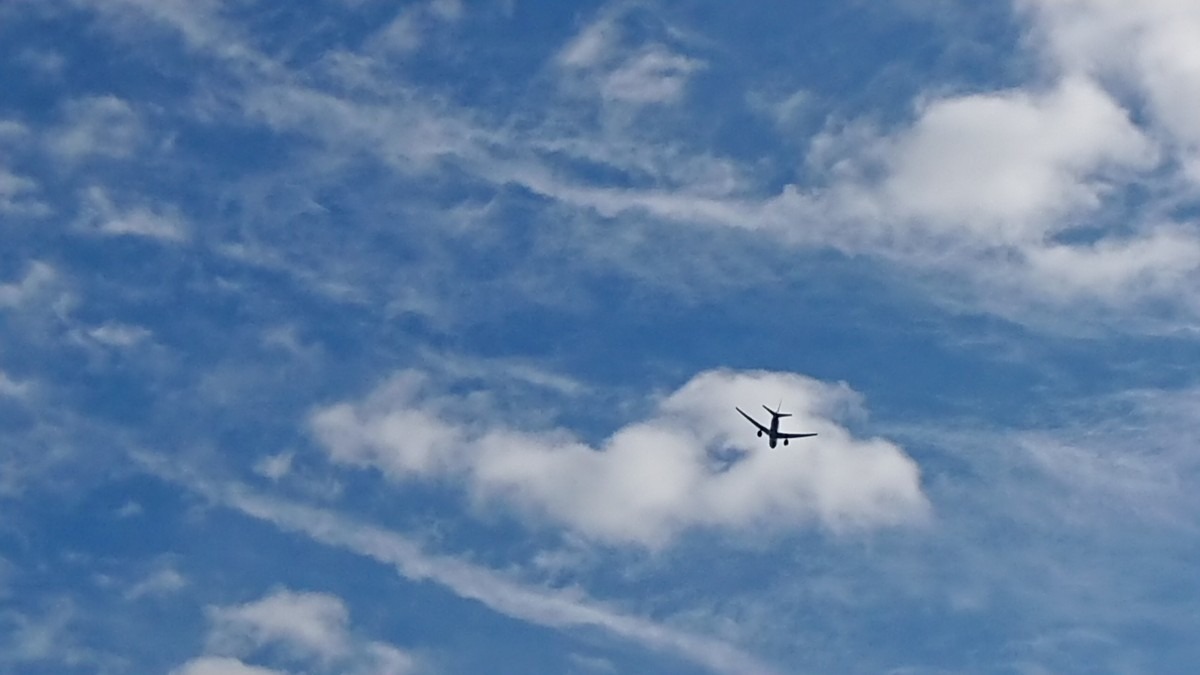 こんな近くを〜✈️