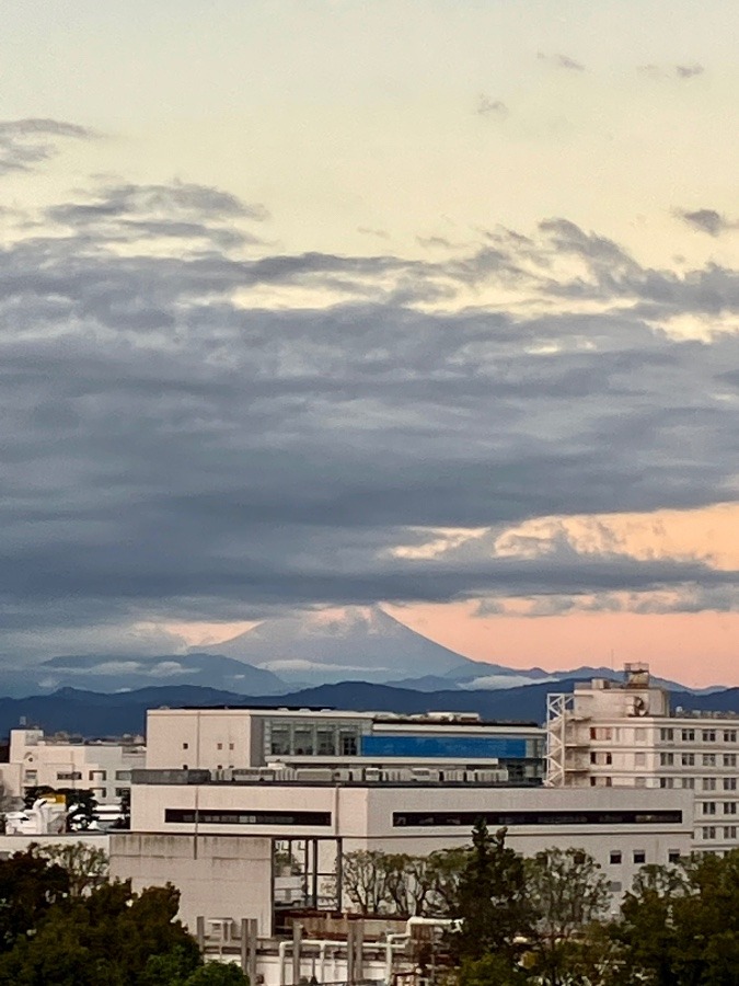 今朝の富士山