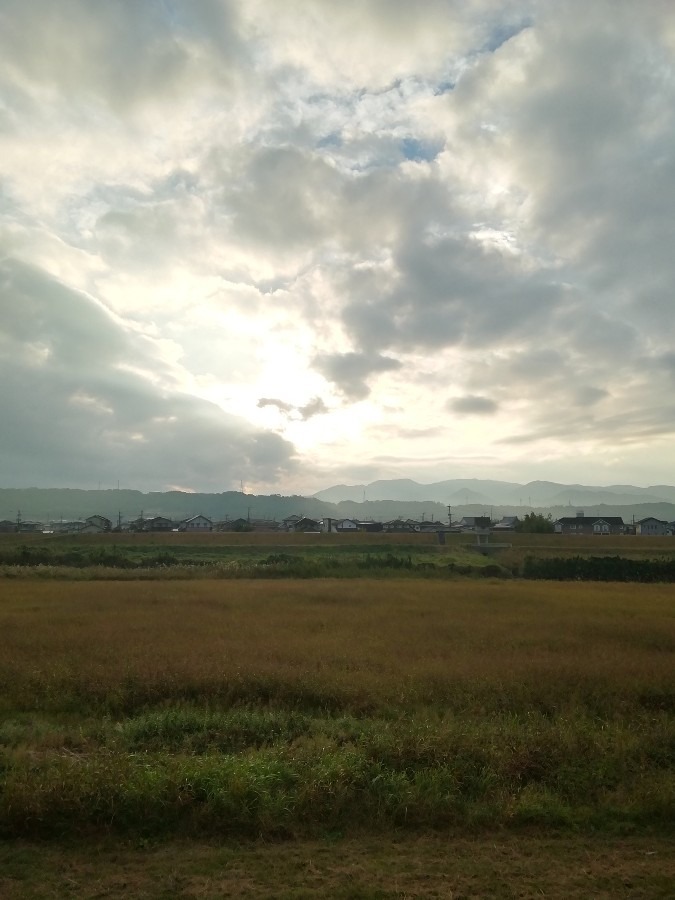 今朝の空