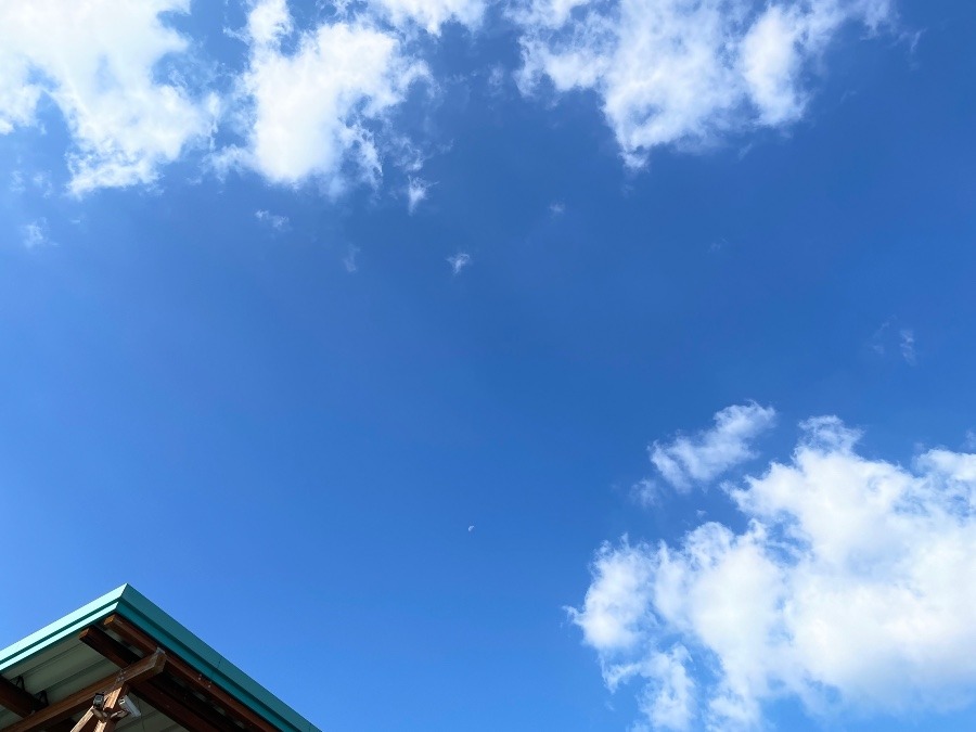 朝の空 9時半