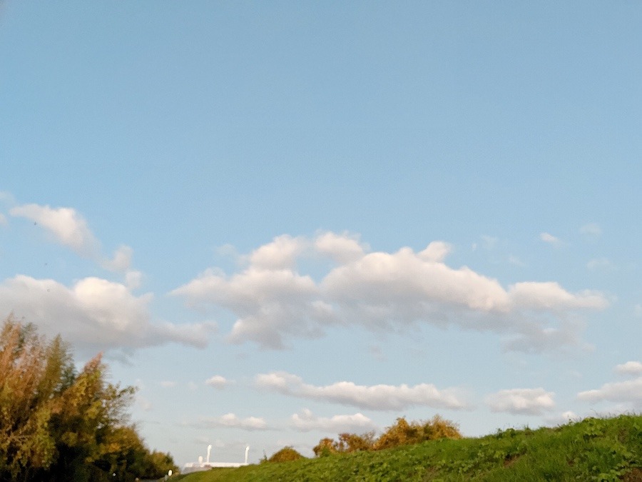 【朝の空】