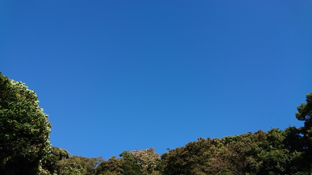 14時の空(鎌倉にて)