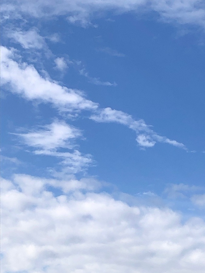 今日の空