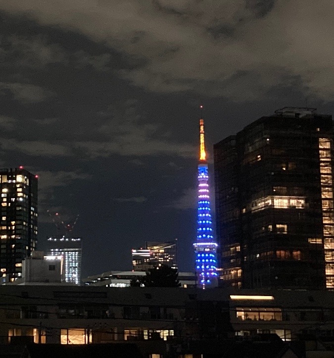 今日の東京タワー🗼