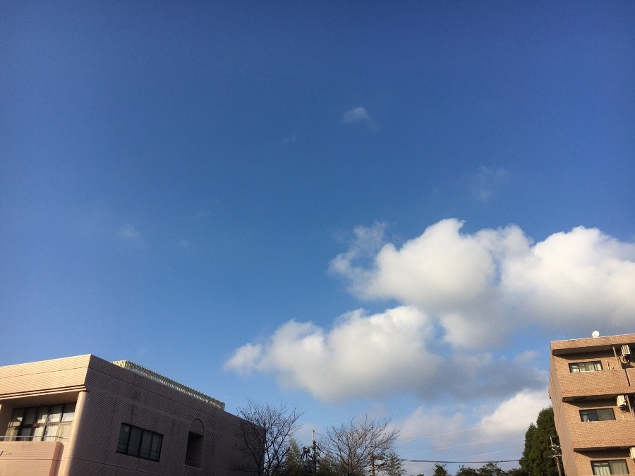 ⭕️空部→   今日の空（≧∇≦）‼️271.