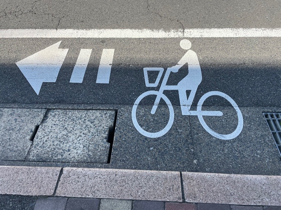 自転車の通る道🚲