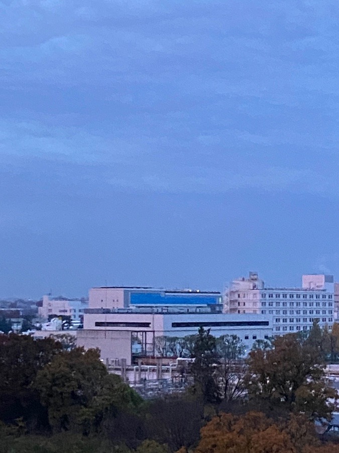 今朝の富士山