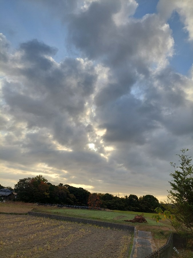 11/15朝空