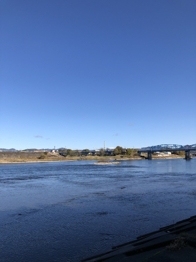 🎋🏞🌉竹林の先