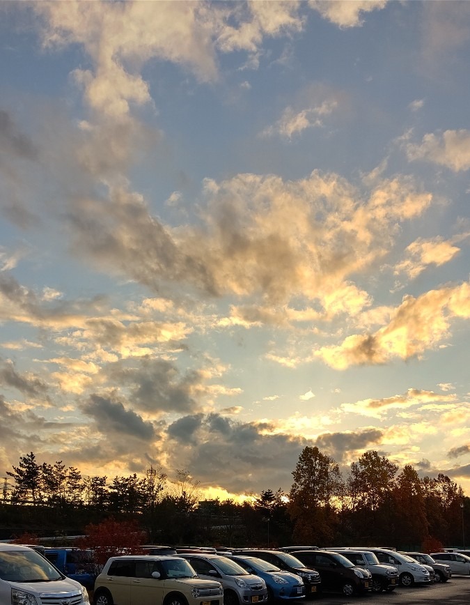 帰り道の夕焼け🌇