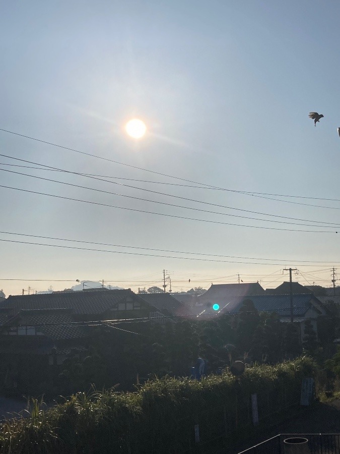 おはようございます（╹◡╹）