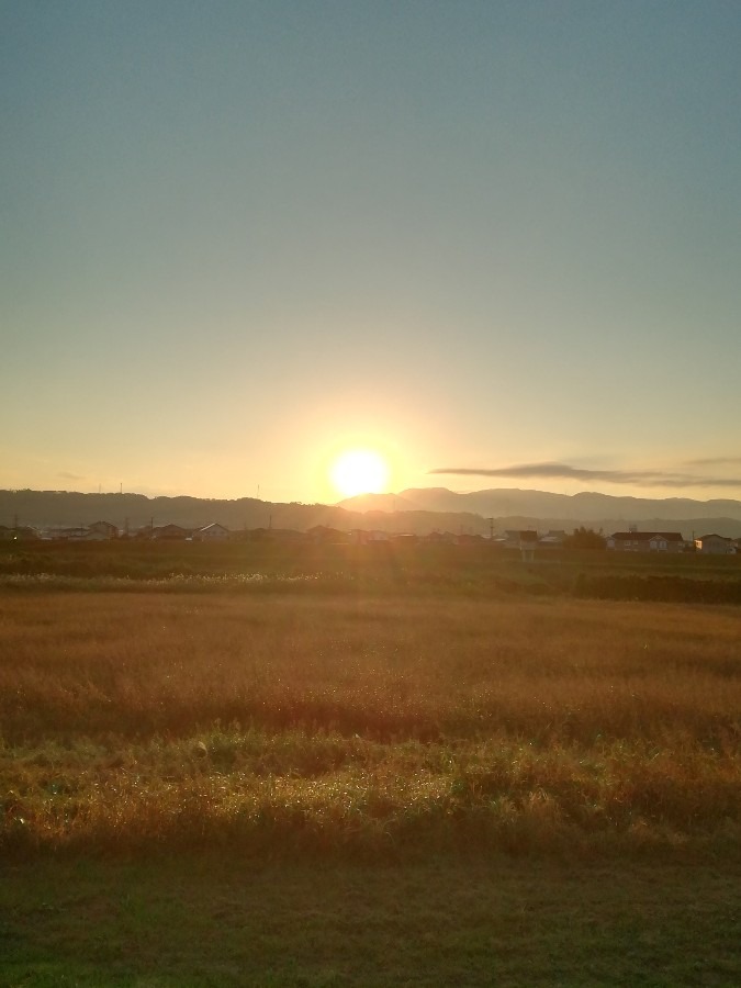 今朝の空