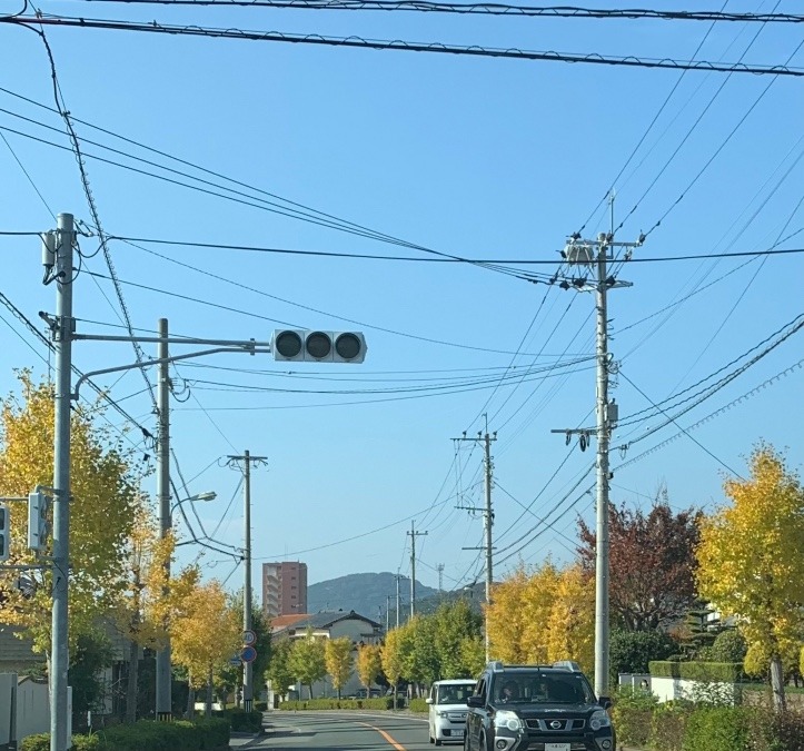 ご近所も秋景色満載❣️　🍁🍂