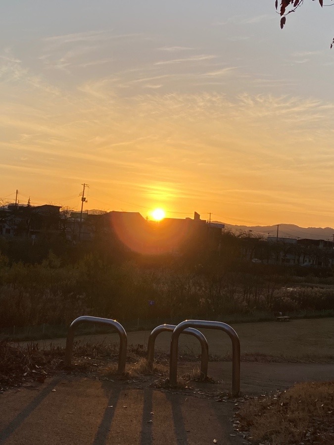 夕陽🌇🌇🌇