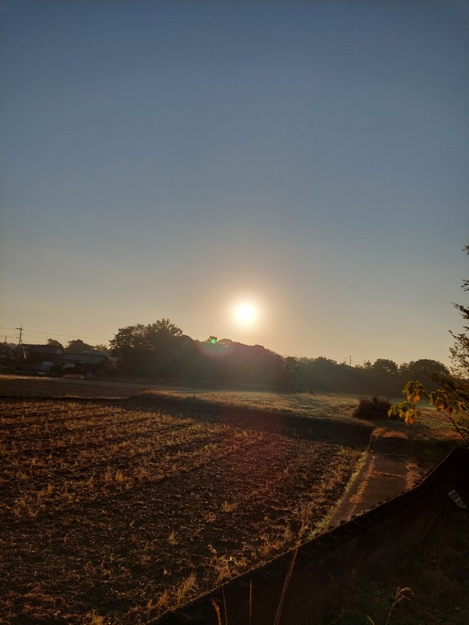 11/21朝空