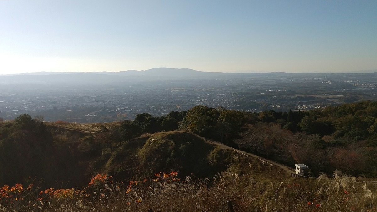 向こうに見えるのが生駒山です。