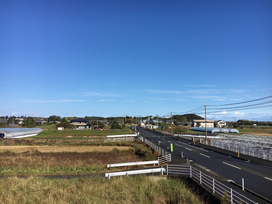 ⭕️空部→   雨が上がった（≧∇≦）‼️251.