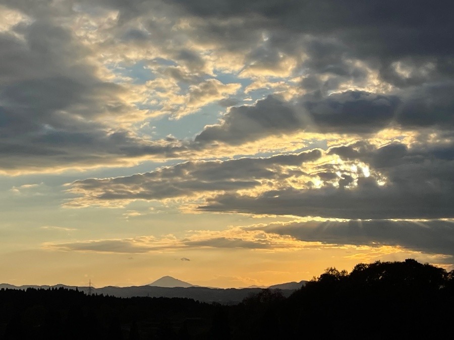 森の夕焼け