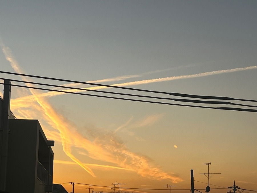 飛行機雲か？？