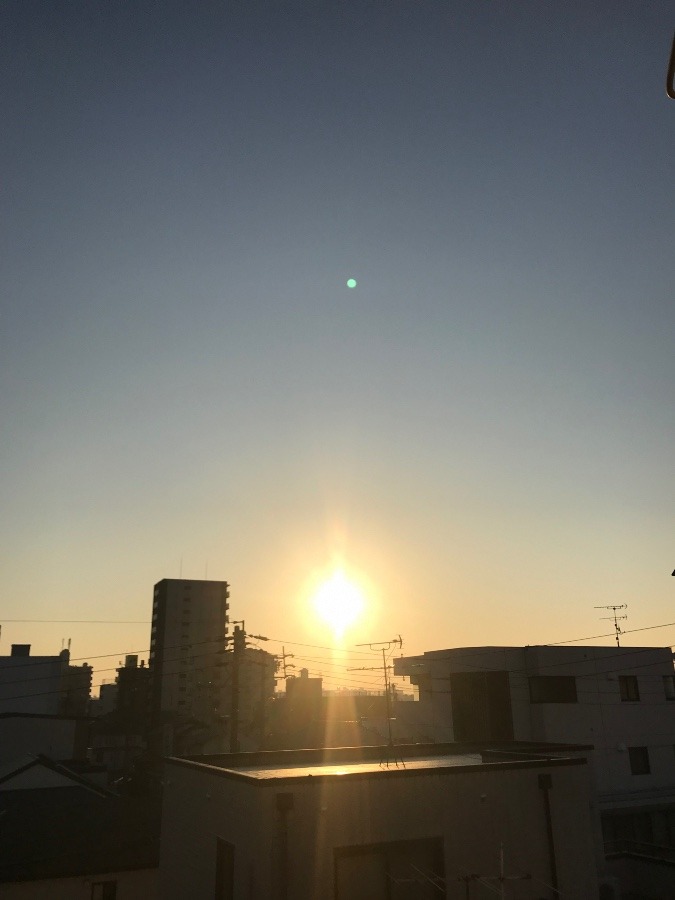 今日の朝陽〜☀️✨