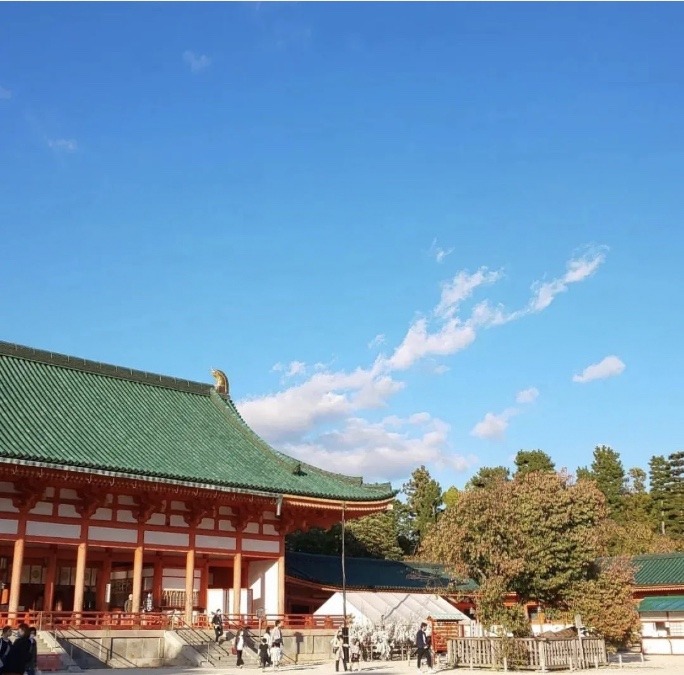 ⛩🌸左近の桜