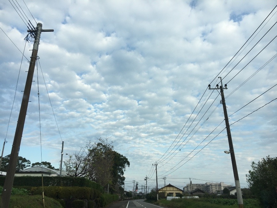 ⭕️空部→   いま空（≧∇≦）‼️244.