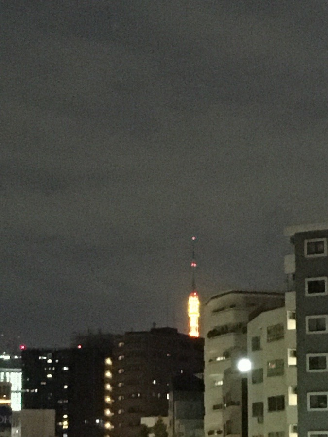 11/28朝空