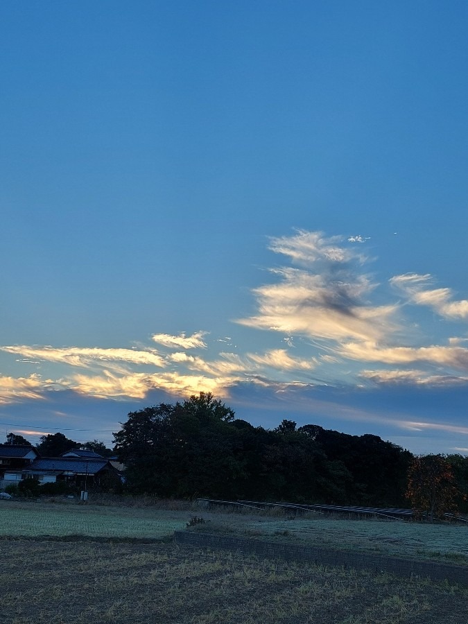 11/2朝空