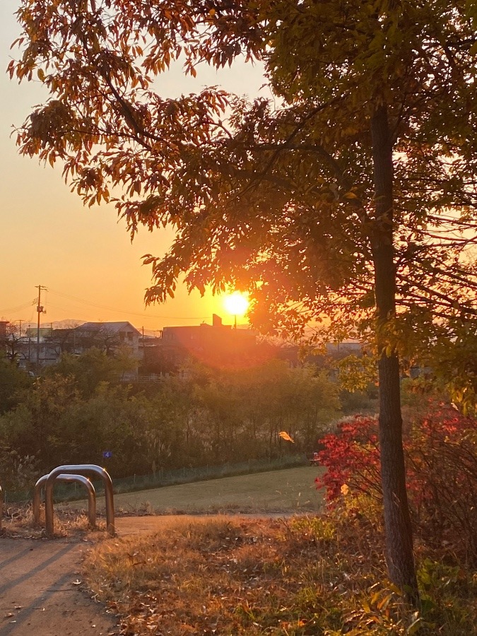 夕陽🌇🌇🌇